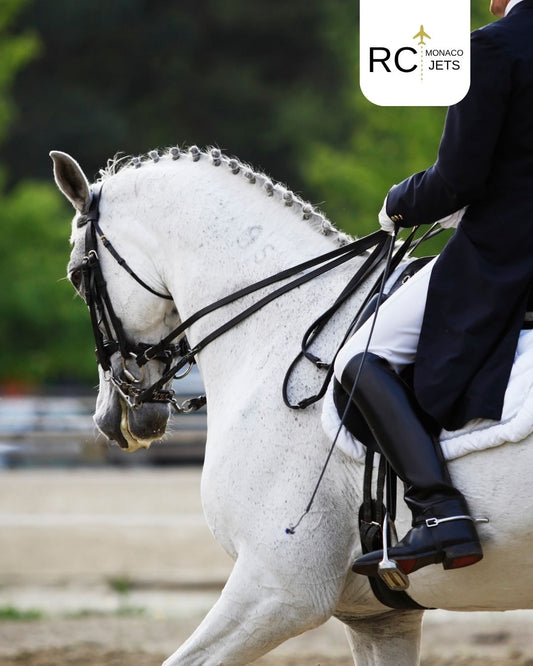 Horse Transport by Private Jet: Comfort, Speed and Excellence for Upcoming Major Competitions