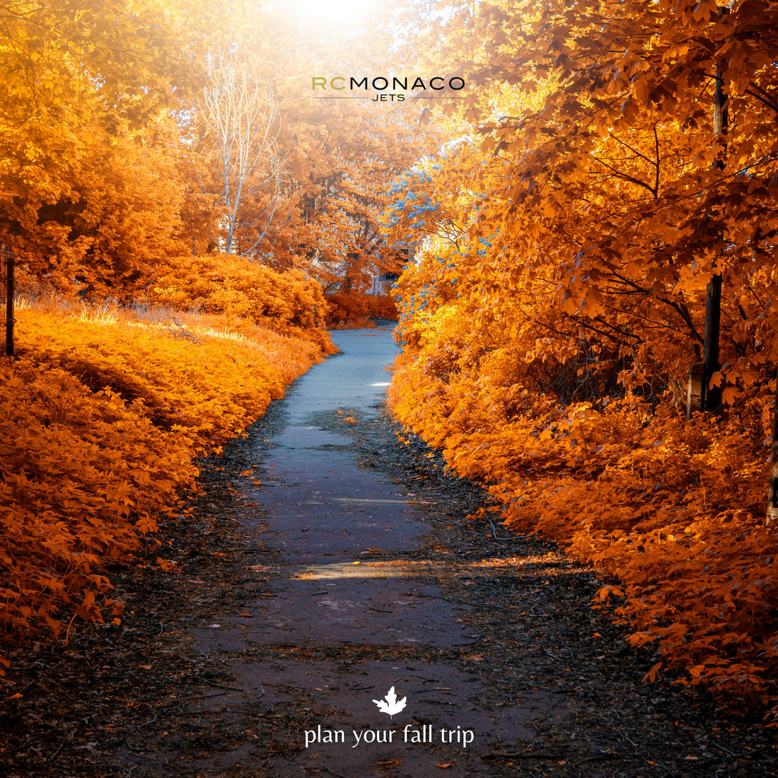 Have you thought about planning your fall trip?